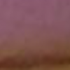 translucentPink