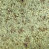 File_002